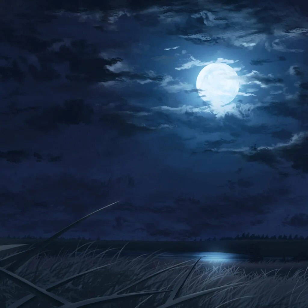 Луна взошла багровая и хмурая. Поле ночью. Лунный пейзаж. Фон ночь.