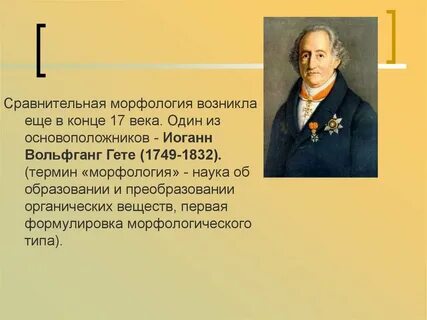 Основатель э
