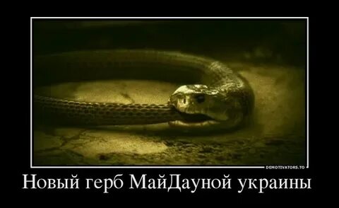 Голод не тетка выражение