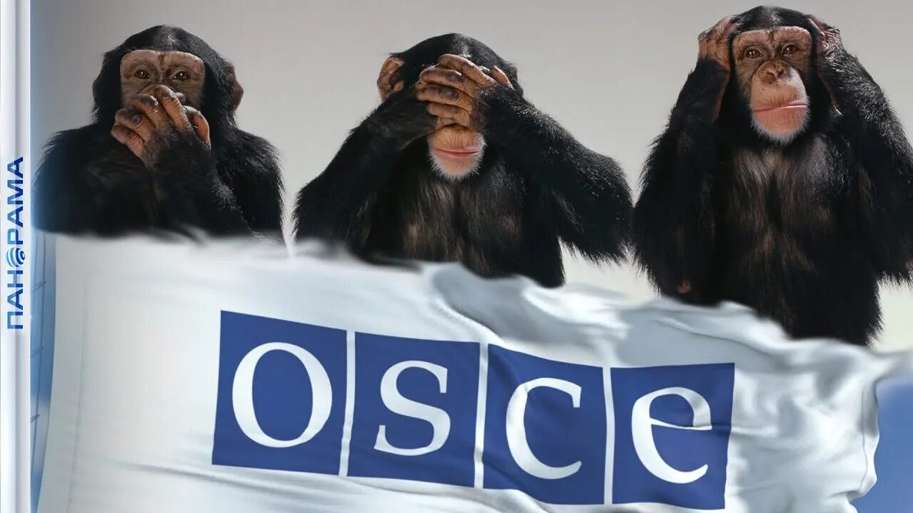 Обсе оон. ОБСЕ. Россия и ОБСЕ. ОБСЕ обезьяны. ОБСЕ картинки.
