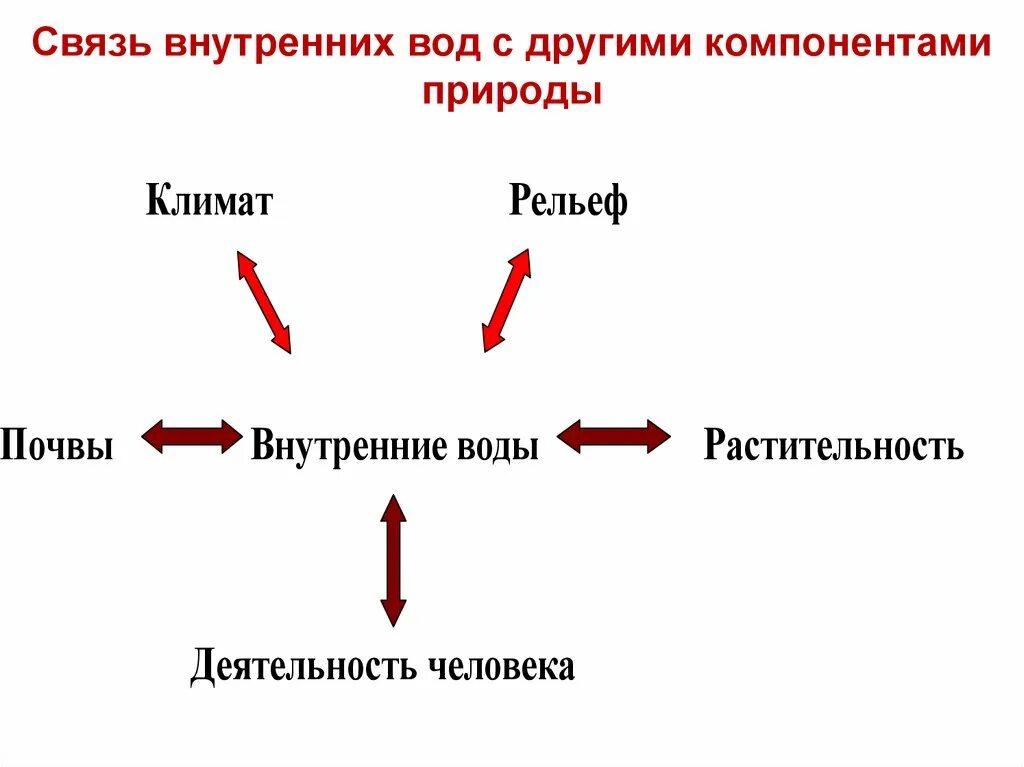 Связь внутренняя с бывшим. Взаимосвязь внутренних вод с другими компонентами природы. Связь климата и внутренних вод схема. Внутренние воды схема. Условия образования внутренних вод.