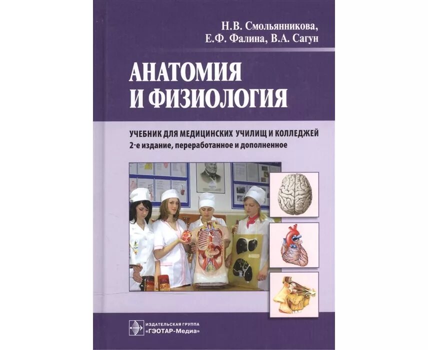 Анатомия медколледж. Анатомия и физиология Смольянникова Фалина Сагун. Анатомия и физиология человека Смольянникова. Учебник по анатомии и физиологии человека. Анатомия и физиология учебник для медицинских училищ и колледжей.