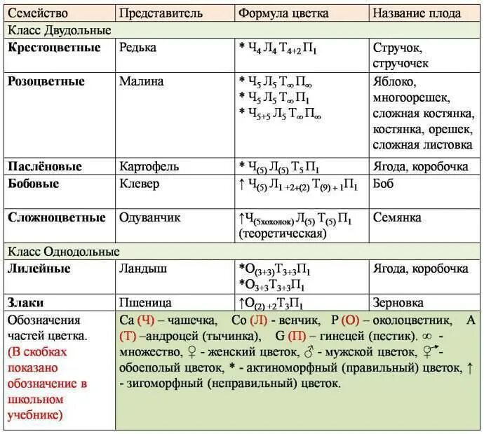 Семейства однодольных растений список. Семейства покрытосеменных растений таблица. таблица по биологии 6 класссемкйство двудольнын. семейство двудольных растений таблица 6 класс. таблица семейства цветковых растений 6 класс биология.