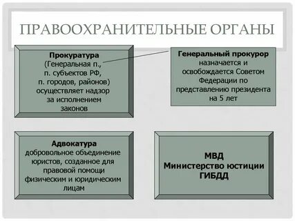 Какие существуют правоохранительные органы власти