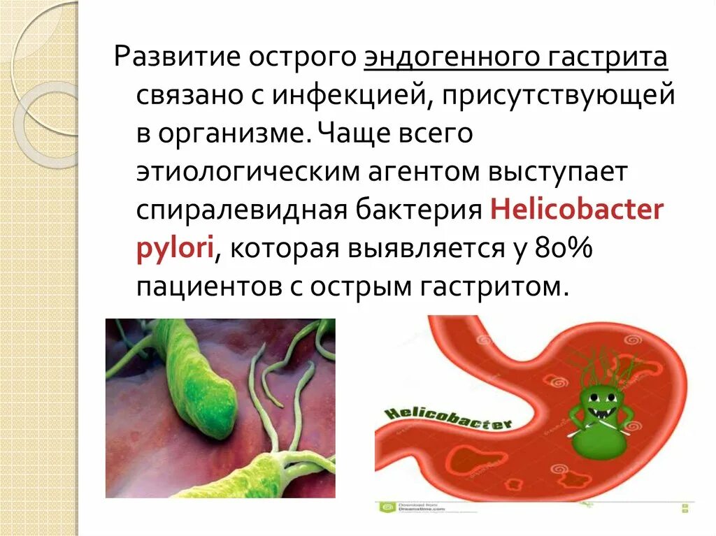 Причины появления хеликобактер в желудке