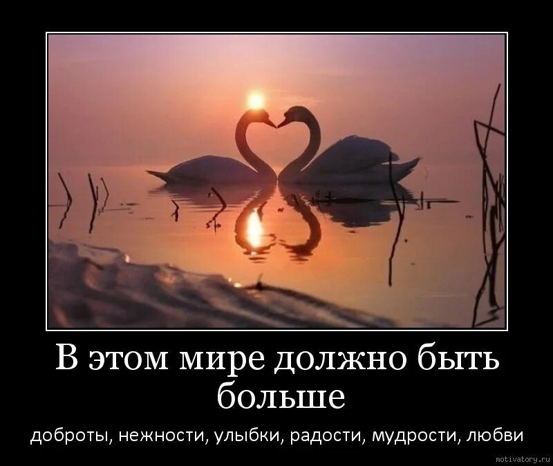 В мире много доброты