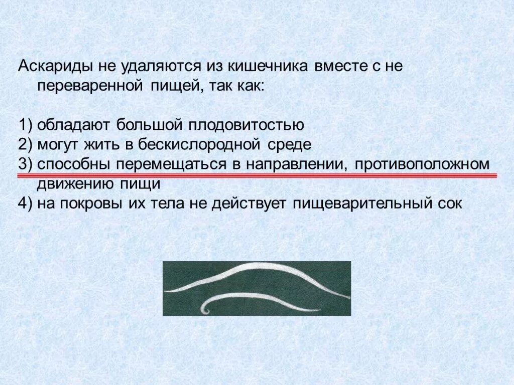 Где начинается переваривание пищи у пауков