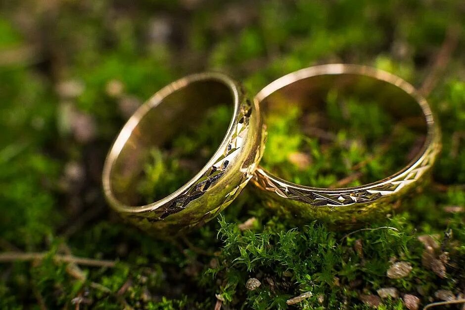 Интересные факты про кольца. Обручальные кольца на траве. Кольцо трава. Обручальное кольцо с лесом. Зеленые обручальные кольца.
