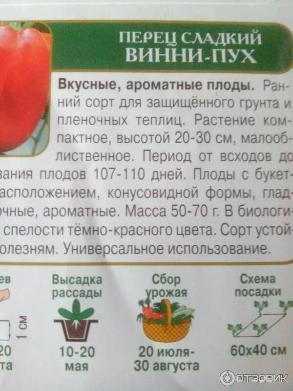 Перец винни пух описание сорта. Сорт перца винни пух. перец винни пух седек. сладкий перец сорт винни пух. семена перец винни пух.