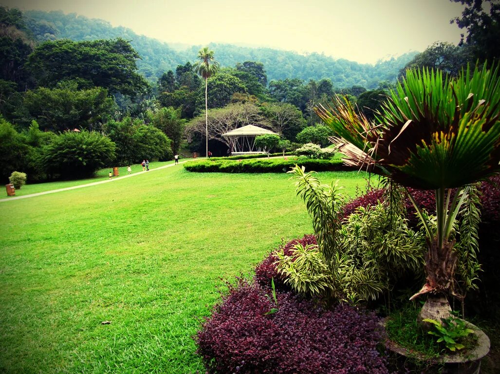 Penang Botanic Gardens Пинанг. Natural zones