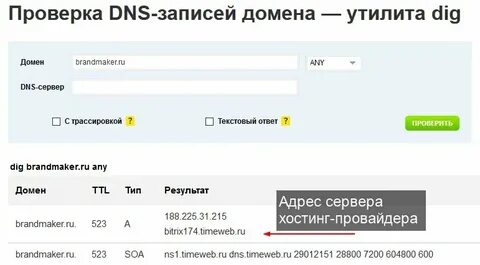 Проверка dns сайта