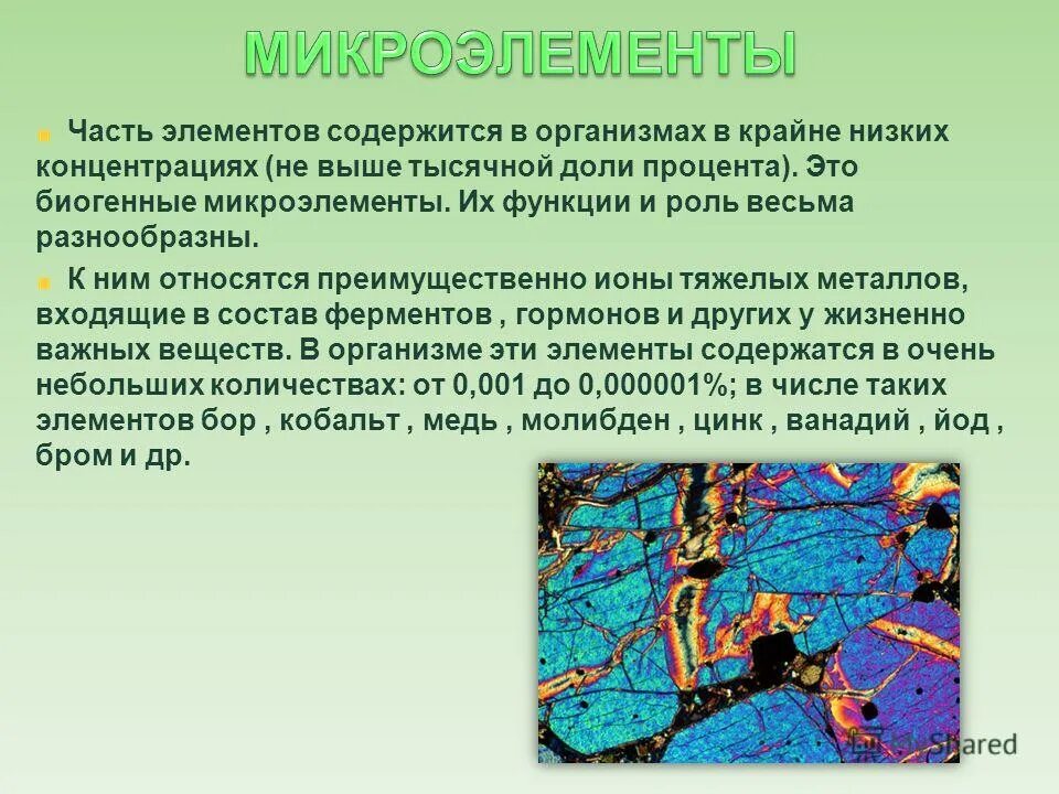 Микроэлементы что к ним относится. Макро и микроэлементы биохимия. Биологическая роль марганца в организме. Микроэлементы входят в состав ферментов. Микроэлементы входят в состав ферментов.