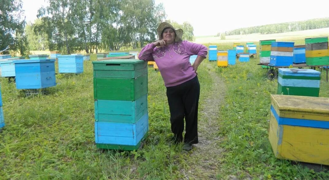 Где находится пасечная