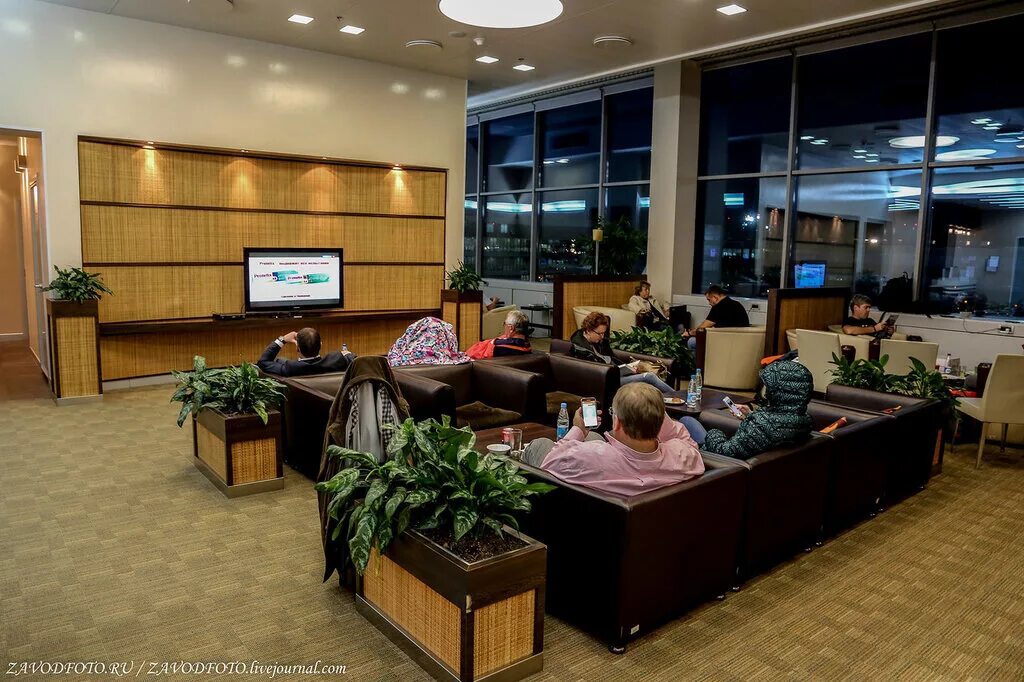 Бизнес зал в аэропорту домодедово. Airport business lounge домодедово. бизнес-зал airport business lounge домодедово. comfort lounge домодедово. бизнес зал в аэропорту вылета домодедово.