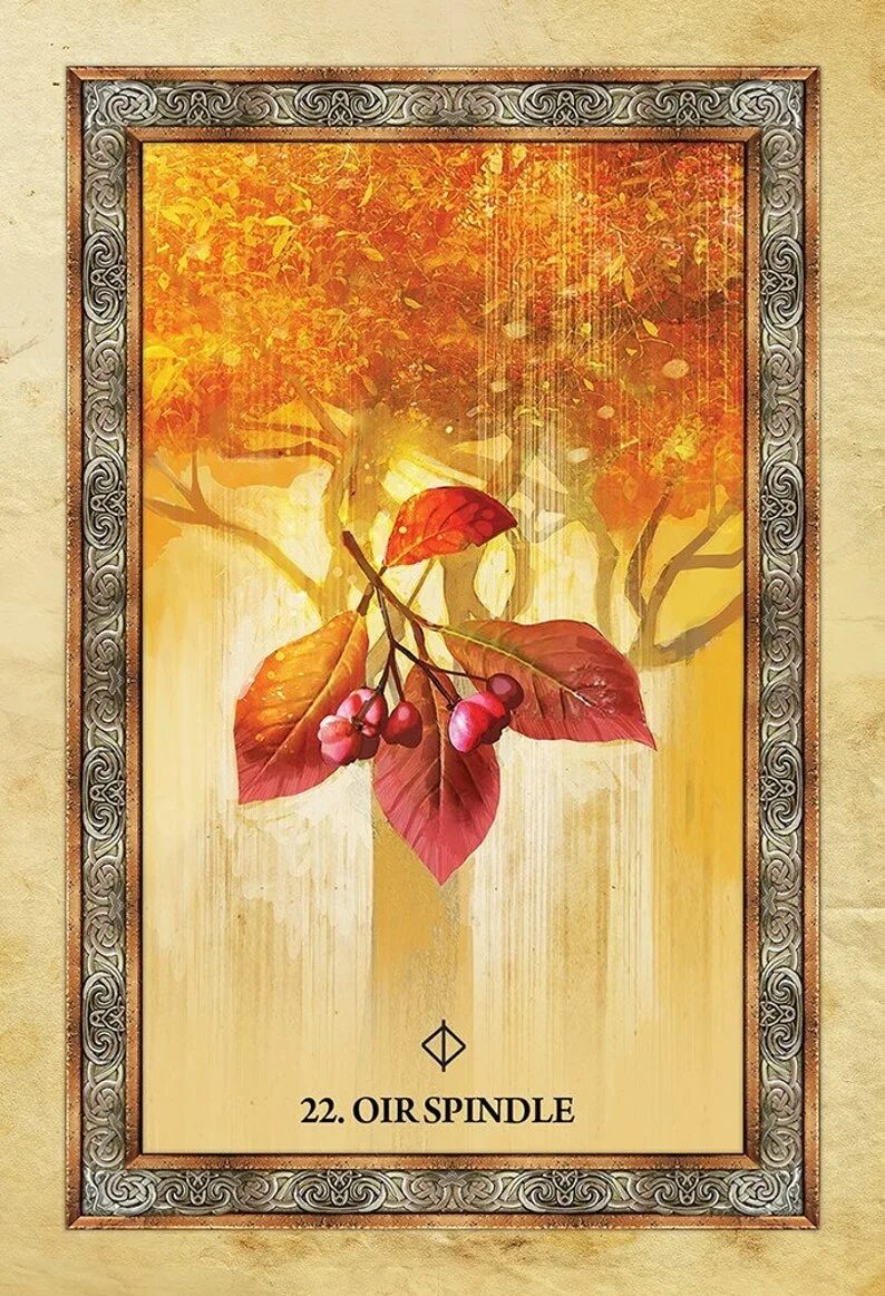 Оракул деревьев. Таро кельтский оракул деревьев. celtic tree oracle. карты таро the celtic tree oracle. оракул из дерева.