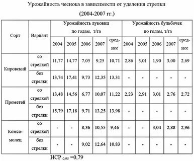 Сколько нужно чеснока на посадку