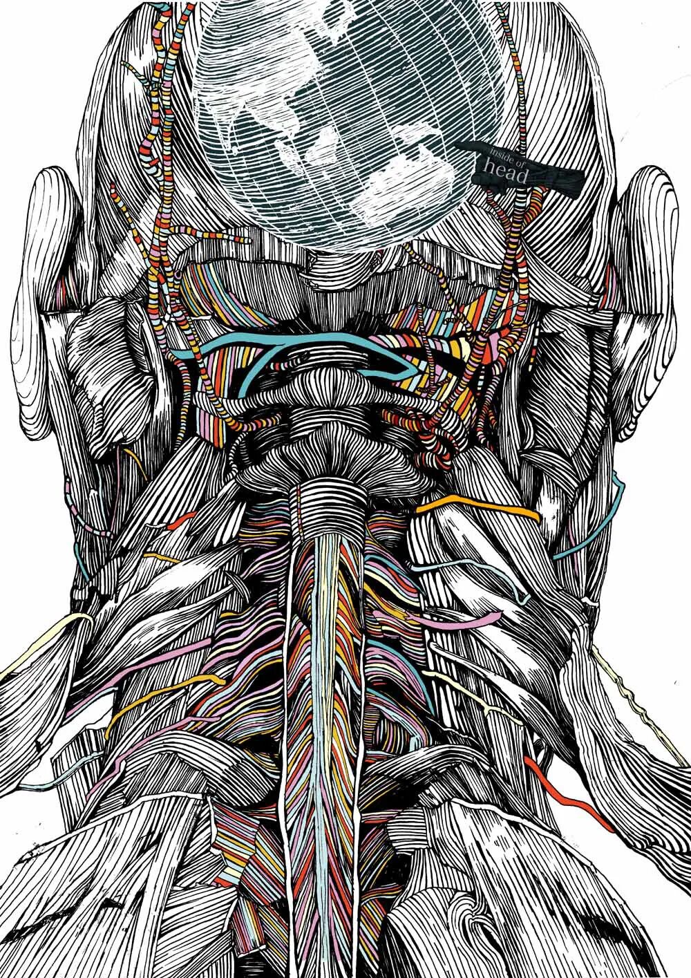 To have no backbone. To have no backbone