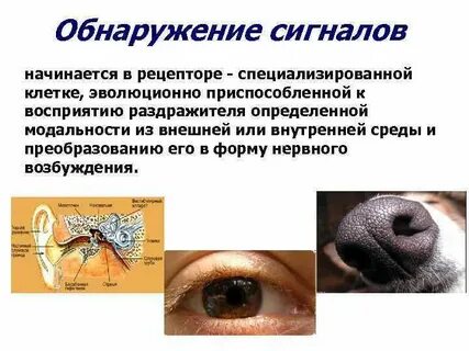 Теории обнаружения
