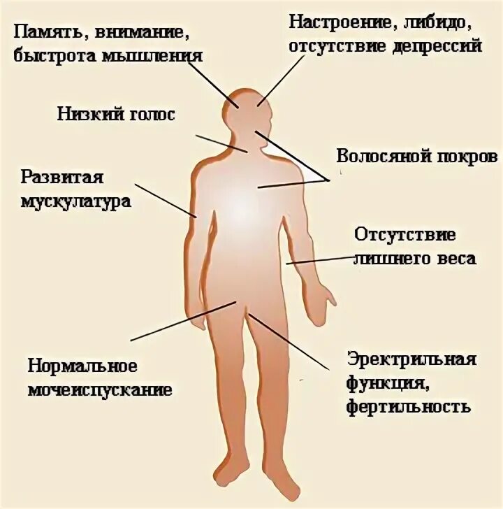 Выделение у подростка мальчика