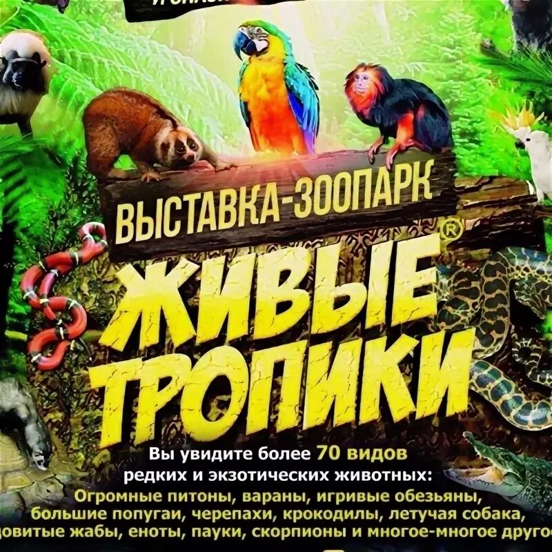 Живые тропики выставка-зоопарк. Зоопарк живые тропики. Соломбала молл выставка животных. Живые тропики. Живые тропики выставка-зоопарк.