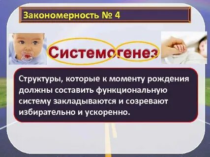 Системогенез это
