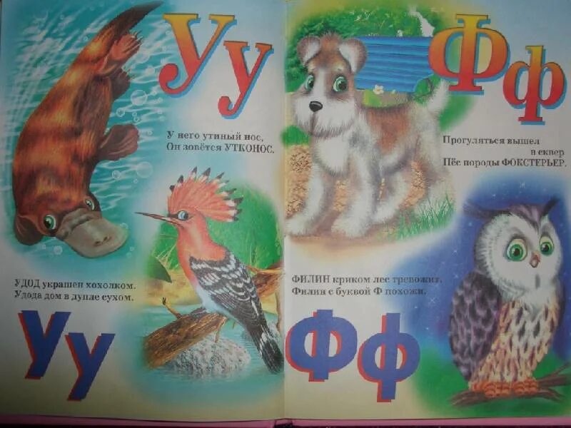 Люби все живое азбука. Учебник живая азбука. живая азбука книжка.