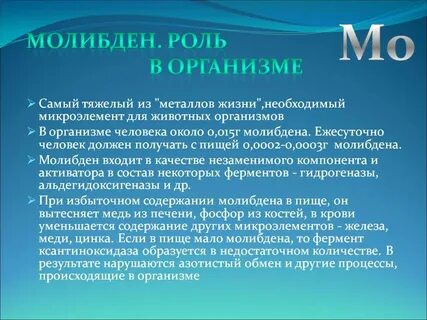 Роль молибдена в организме человека