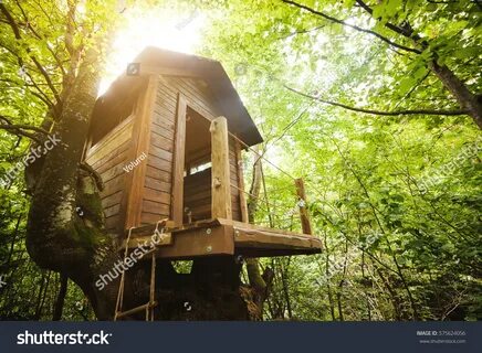 Lin in her tree house