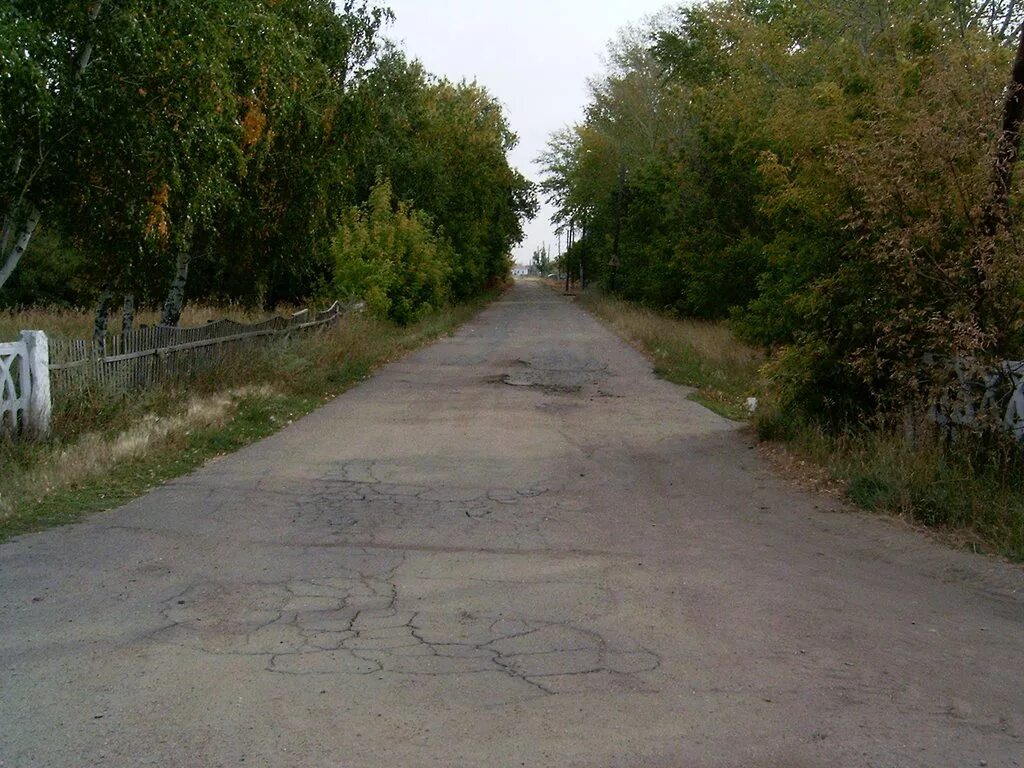 Поселок вишневка казахстан. Кемеровская область село вишневка. Вишневка, вишневского р-на, целиноградской обл. Поселок коренево курская область. Река вишневка.