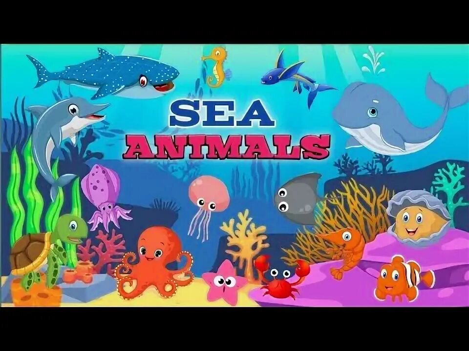 Different seas
