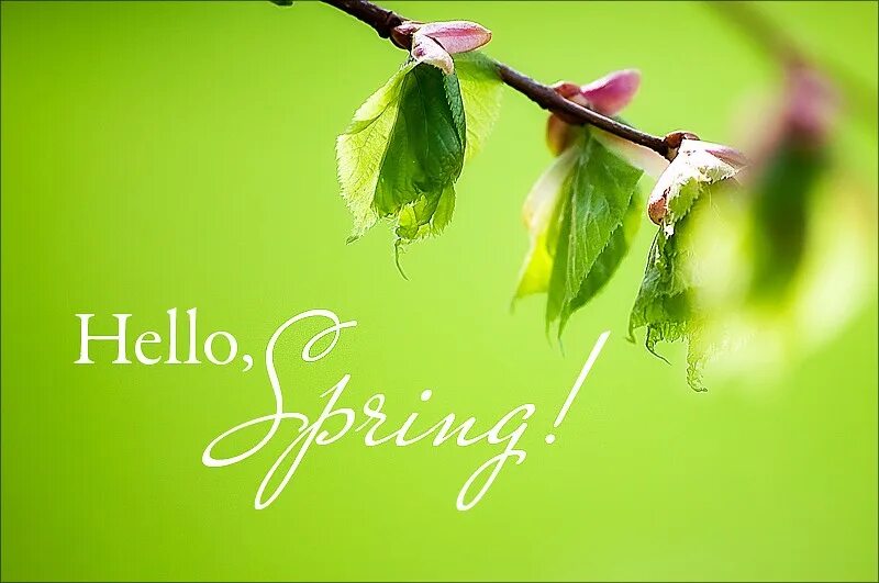 Весна по английскому языку. Английский язык тема весна слова. Весенний на английском. Весна на английском. Занятия весной на английском.