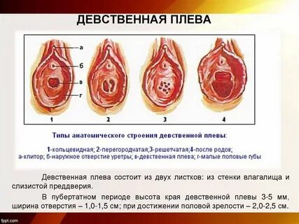 Девственница + Девушки