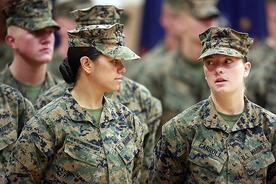 Serve in military
