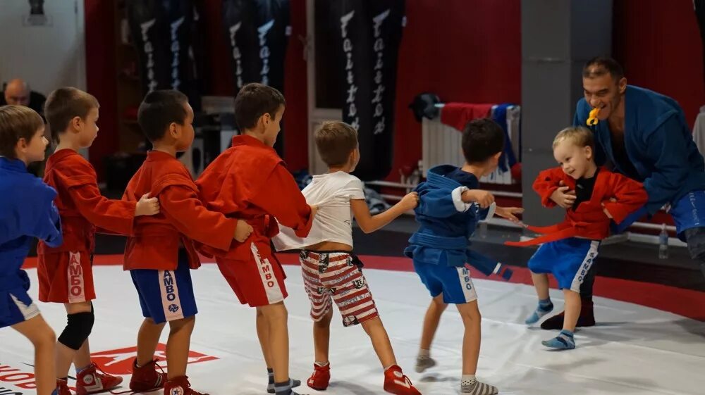 Самбо дети 5 лет. Три медведя самбо. Самбо некрасовка. Самбо дети. Самбо дети 5 лет.