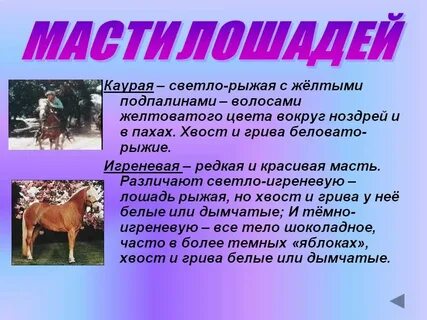 Каурый какой цвет