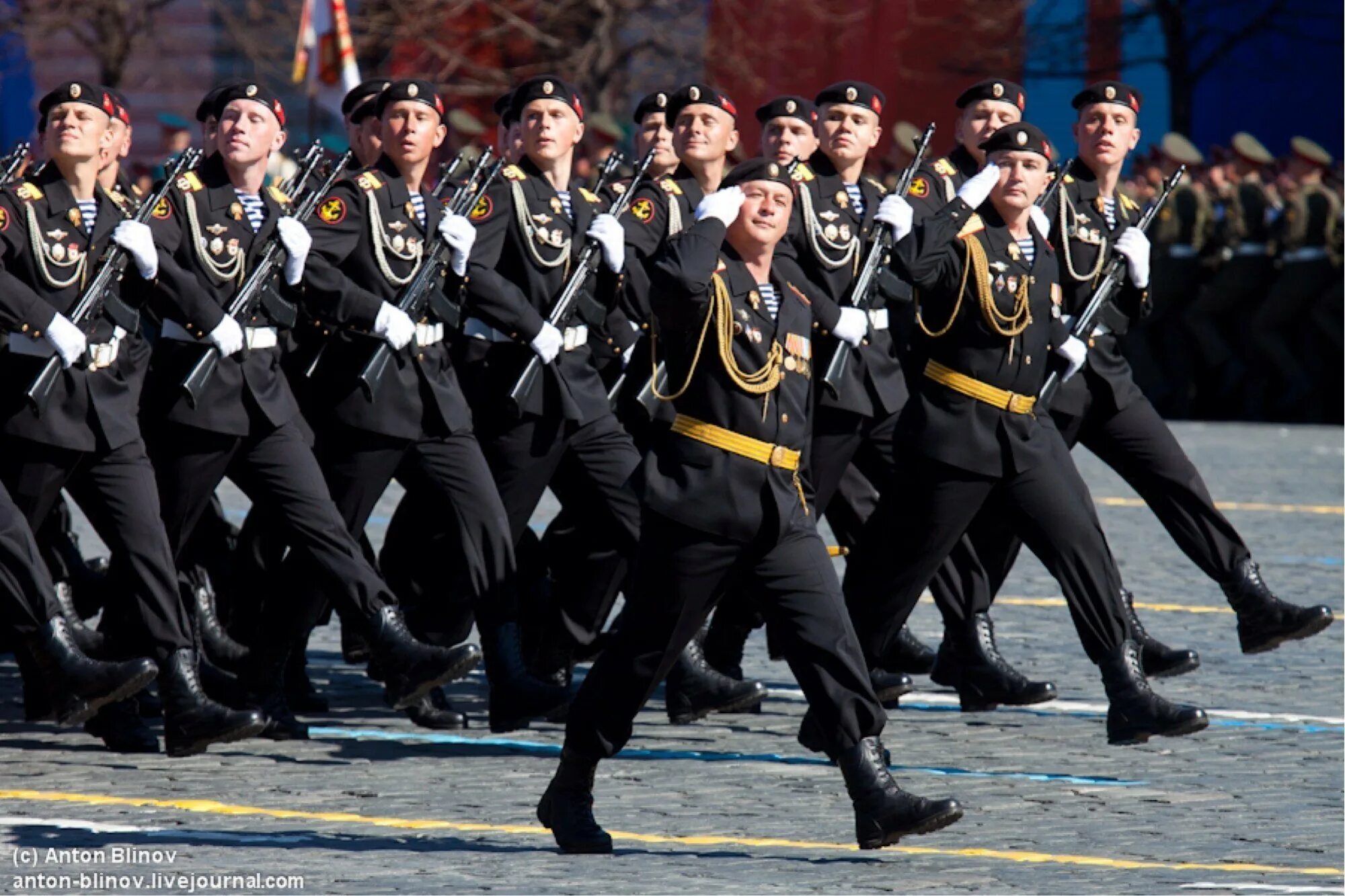 Вмф войска морская пехота россии. Адрес морской пехоты. Вмф войска морская пехота россии. Адрес морской пехоты. 55 бригада морской пехоты владивосток.