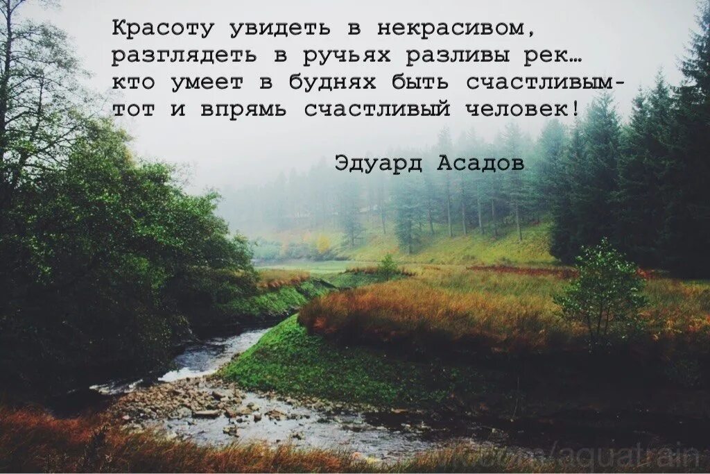 Красоту увидеть в некрасивом. Разглядеть в ручьях разливы рек. Красоту увидеть в некрасивом разглядеть в ручьях разливы рек. В разливах рек видеть красоту. Крас увидим