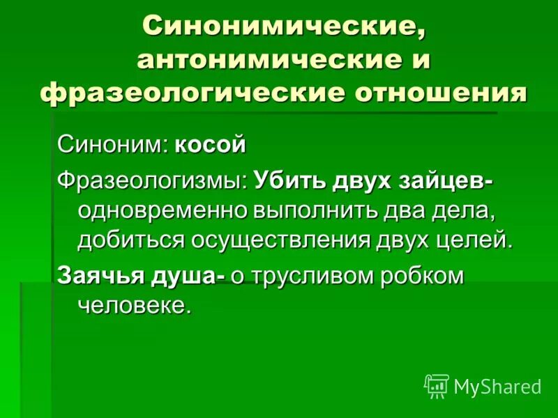 Хорошее отношение синоним. Синонимические отношения. Отношения синоним. Антонимические фразеологизмы заячья душа. Синонимические отношения в лексике.