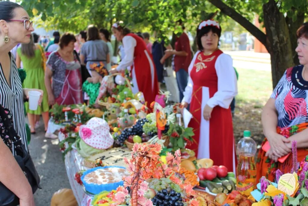 Погода ставропольский край село преградное красногвардейский. Красногвардейское (Ставропольский край). Ставропольский край Красногвардейский район село. Село Родыки Красногвардейского района Ставропольского края. Красногвардейское Ставрополь.