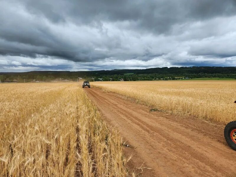 производство хлеба. река хлебная карелия. река хлебная. хлеб на столе. лес поле река.