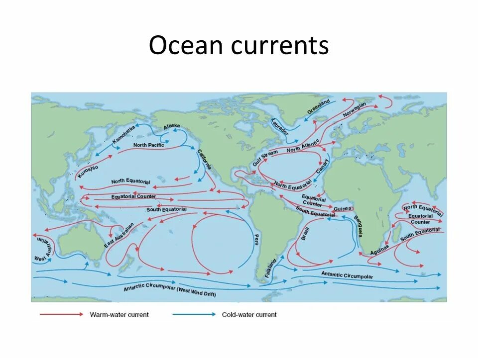 Все холодные течения. Основные морские течения. Карта морских течений мира. Холодные течения Евразии. Направление течений в океане.