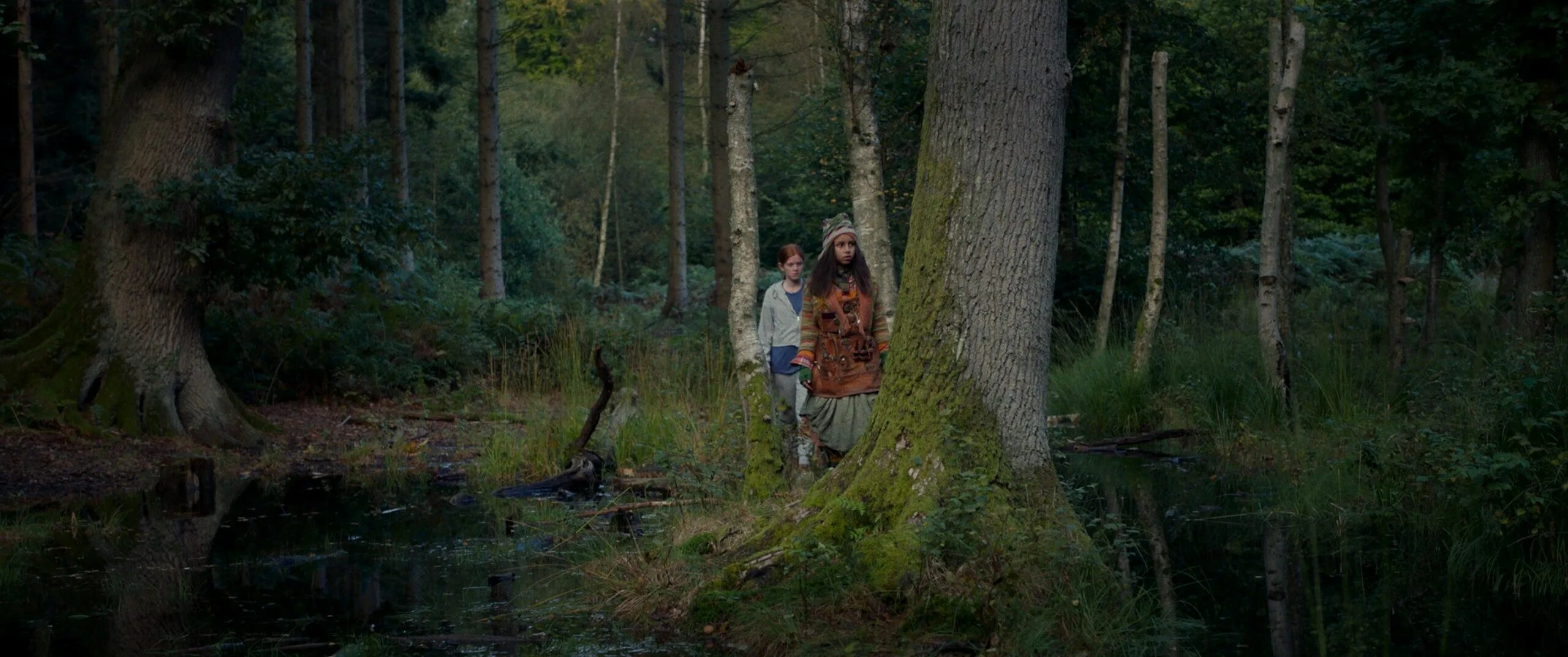 Чародейка(vildheks). Wild witch. Чародейка фильм 2018. Чародейка фильм 2018. Альберт вернер ронард чародейка.