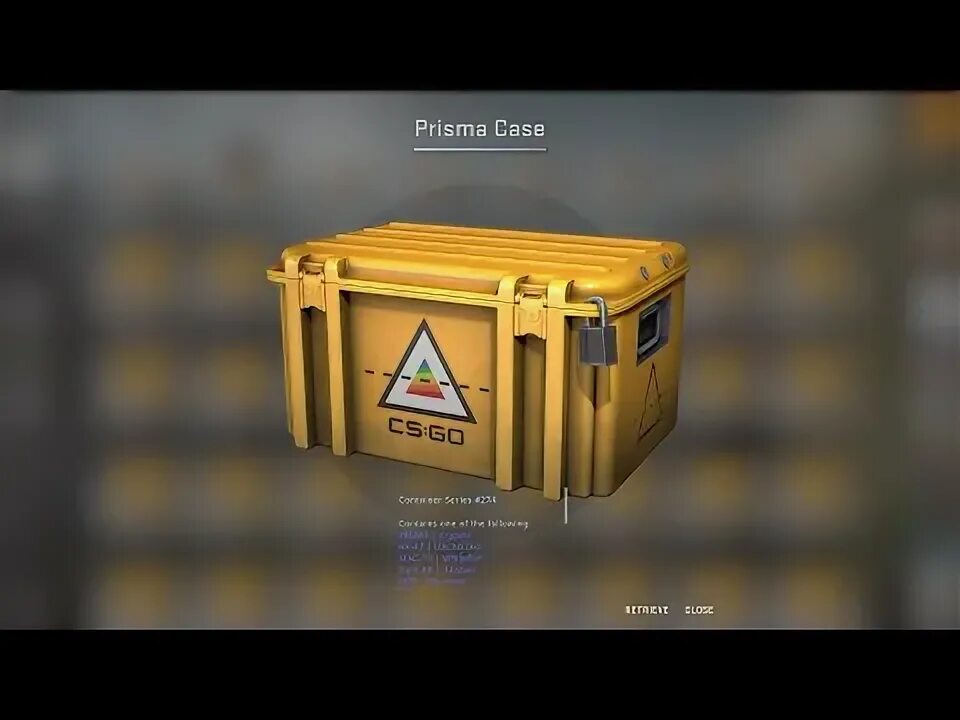 Prisma case