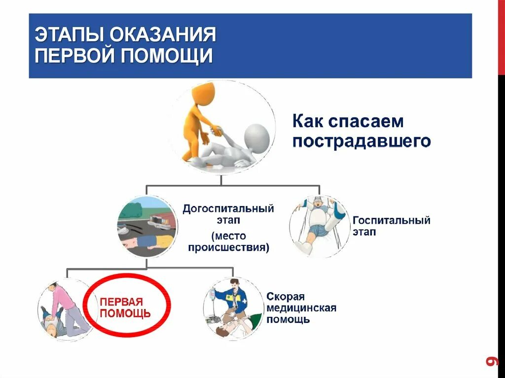 Этапы оказания первой помощи. Этапы оказания 1 помощи. Первый этап оказания первой помощи. Этапность оказания первой помощи. 3 этапа оказания 1 помощи