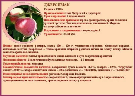 Характеристика яблони