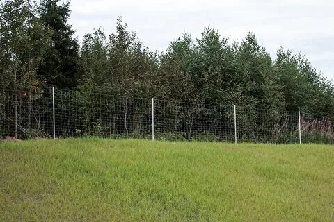 Сетки брянск