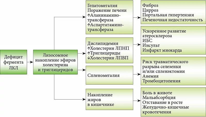 Дефицит лизосомной кислой липазы. Дефицит кислой липазы патогенез. Редкие генетические заболевания. Дефицит кислой липазы патогенез. Лизосомная кислая липаза дефицит.