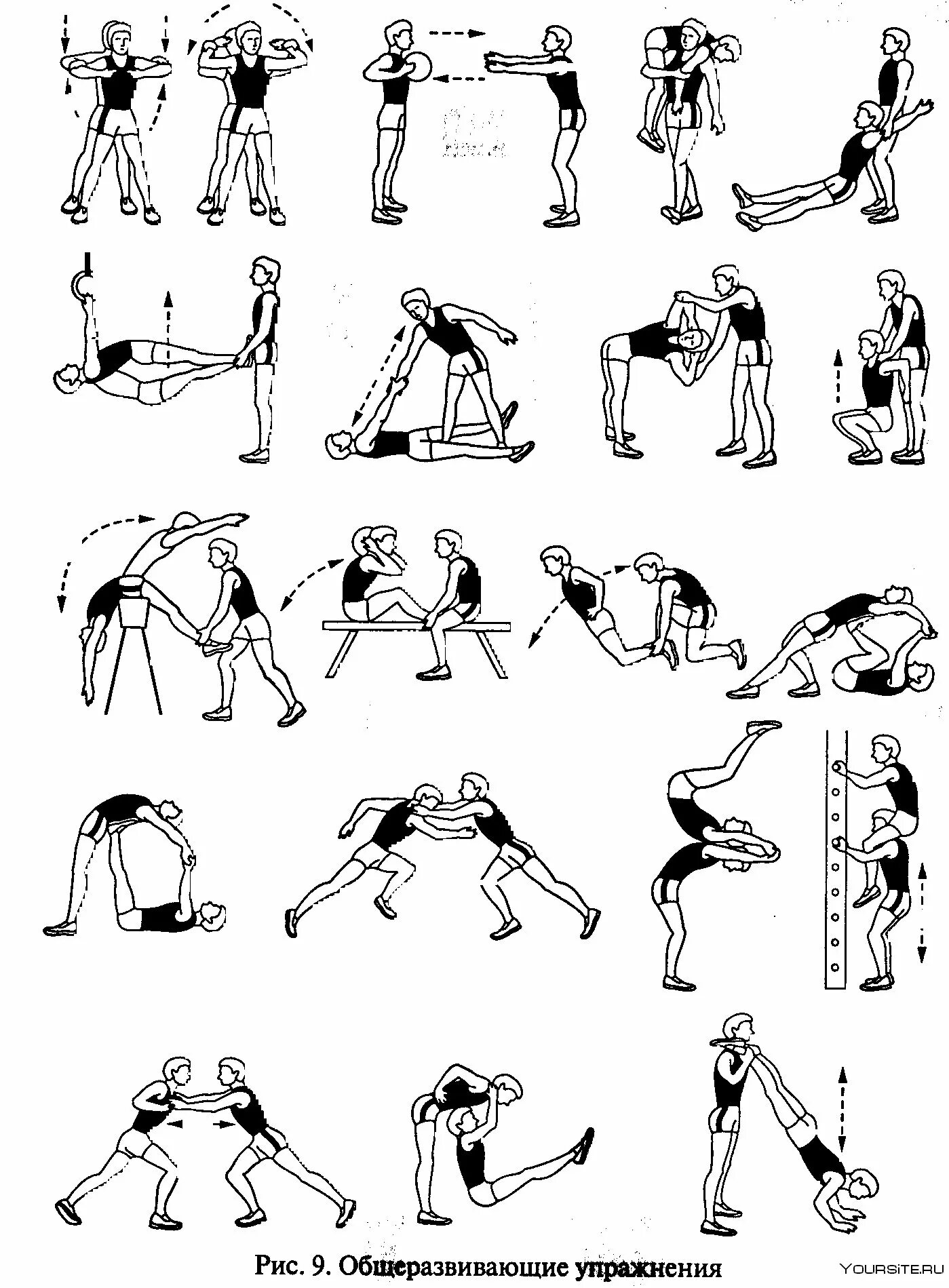 Общеразвивающие силовые упражнения. Общеразвивающий комплекс упражнений. Упражнения в парах. ОФП силовые упражнения.