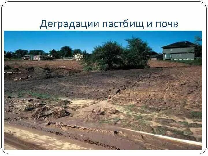 Деградация почв в россии. Деградация территорий. Опустынивание и деградация почвы. Деградация земельных ресурсов. Деградация почв причины.