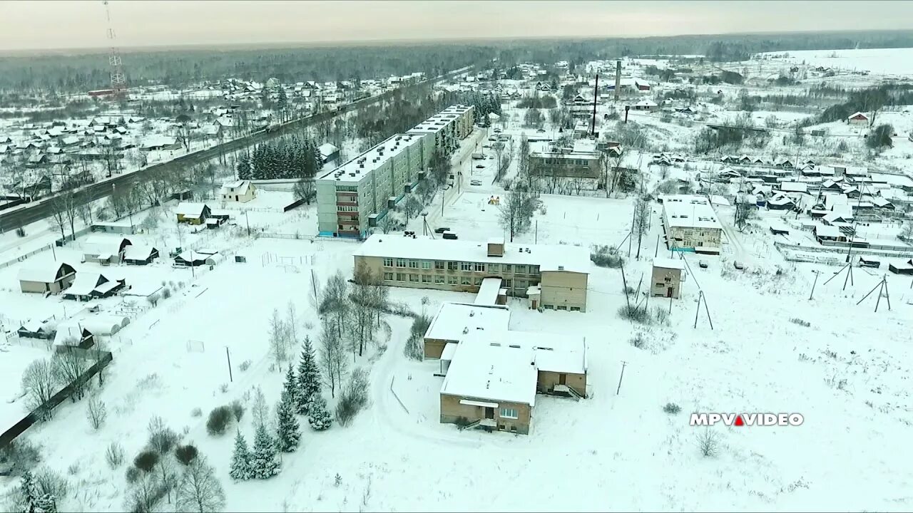 Трегубово новгородская область. Трегубово новгородская область. Трегубово новгородская. Деревня трегубово. Трегубово новгородская область.